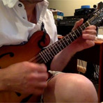 Mandolin Student